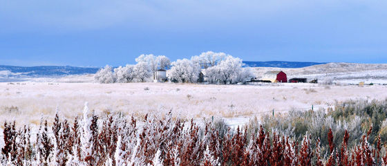 The Frost is All Over