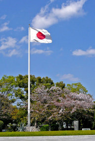 The Japanese Flag