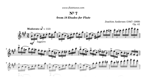 値下げ・CHANGES for 7 Flutes スコア&パート譜 値下げ・CHANGES for 7