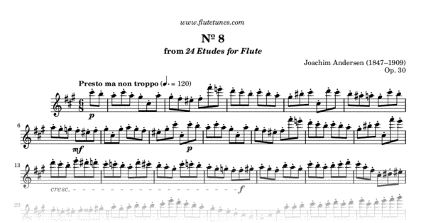 Study No. 8 in F-sharp minor from 24 Etudes for Flute, Op
