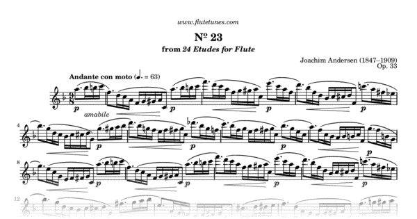Study No. 23 in F major from 24 Etudes for Flute, Op. 33 (J Study No. 23 in F major from 24 Etudes for Flute, Op. 33 (J
