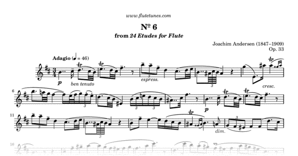 Study No. 6 in B minor from 24 Etudes for Flute, Op. 33 (J