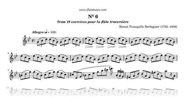 Study No. 6 in G minor from 18 Exercises or Etudes for Flute (B.T