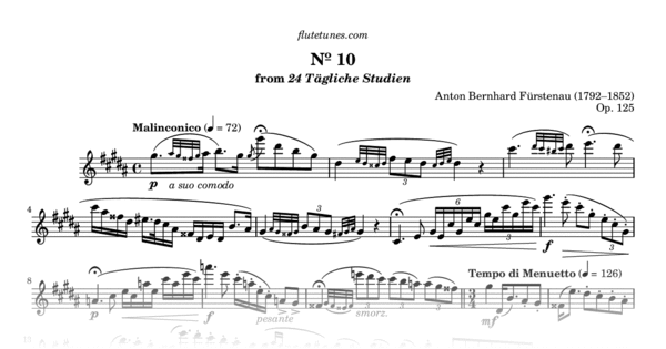 24 Studi Quotidiani Op.125: Bouquet Des Tons Per Flauto - Spartito Musicale - Foto 11