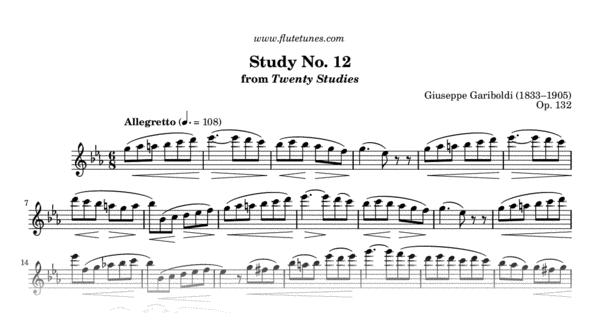 Gariboldi 20 studi Op 132 per flauto IMC1346 