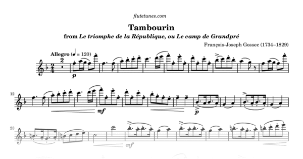 Tambourin HD 12