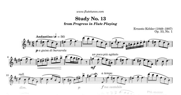 Study No. 2 In A Major From Progress In Flute Playing, Book 2 (E