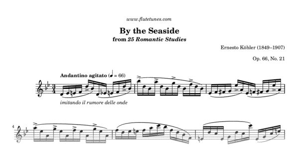 By the Seaside from 25 Romantic Studies (E. Köhler) - Free Flute