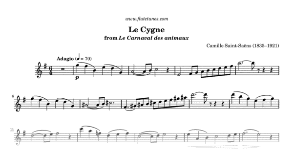 Camille Saint-Saëns: Le Carnaval des Animaux, R. 125 The Carnival of the  Animals