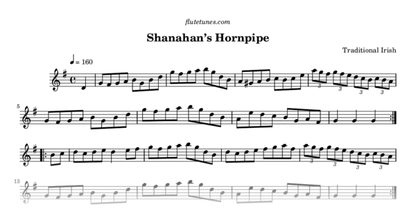 Traditional Hornpipe Irish Dance Music