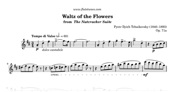 Waltz of the Flowers from The Nutcracker Suite P.I. Tchaikovsky