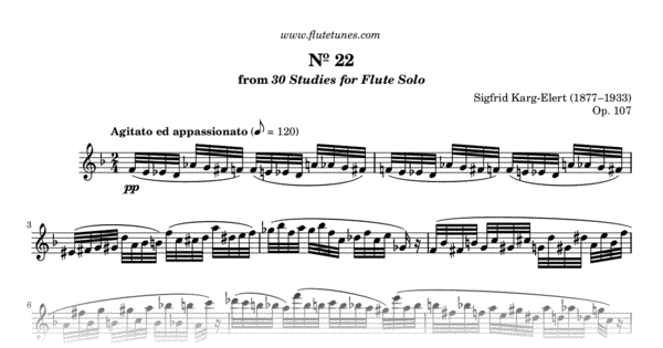 Karg elert flute pdf books