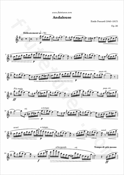 Andalouse (E. Pessard) - Free Flute Sheet Music | flutetunes.com