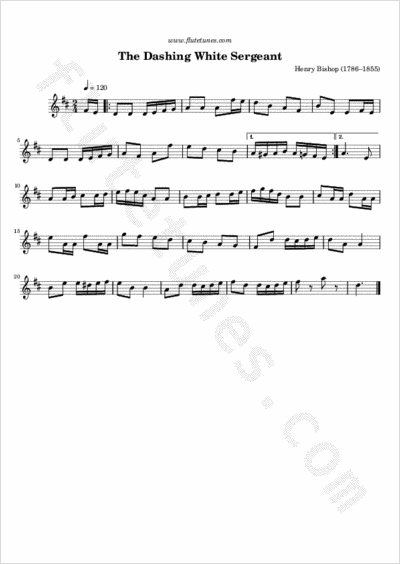 song sergeant download song sergeant download